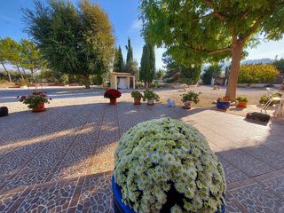 Chalet en venta en Calasparra