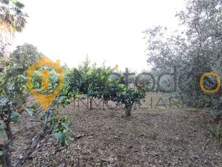 Chalet en venta en Carmona