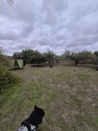 Casa rural en venta en Arcos de la Frontera