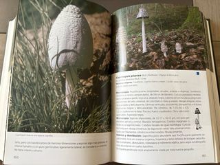 GUIA DE HONGOS DE LA PENINSULA IBERICA