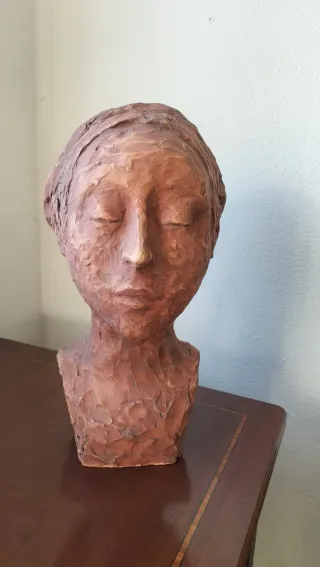 Busto de terracota/arcilla único