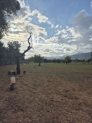 Casa rural en venta en Cristo Rey - Parque Europa en Inca