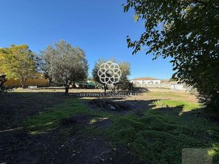 Casa rural en venta en Ctra Sanlúcar-Zona Cuatro Pinos en Puerto de Santa María (El)