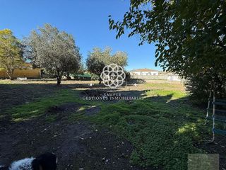 Casa rural en venta en Ctra Sanlúcar-Zona Cuatro Pinos en Puerto de Santa María (El)