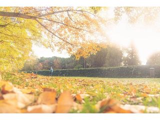 Piso en venta en Zona Sur en Burgos