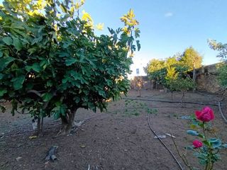 Local comercial en venta en Este en Mérida