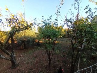 Local comercial en venta en Este en Mérida