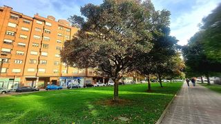 Piso en venta en Laviada en Gijón