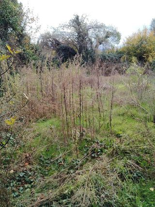 Casa rural en venta en Tarazona