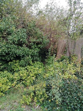 Casa rural en venta en Tarazona