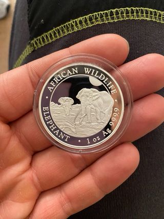 onza de plata elefante de somalia 2026