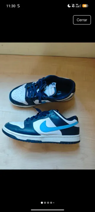 Nike Dunk Low Retro Azules Hombre