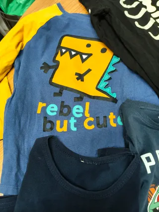 Lote Ropa Niño 5-6 Años