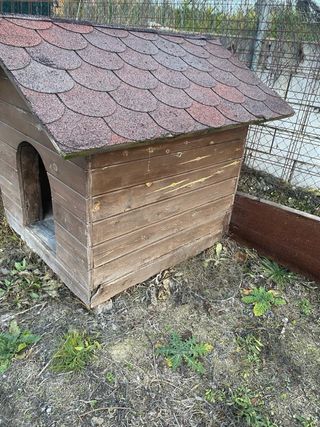 Caseta para perro de madera hecha a mano.