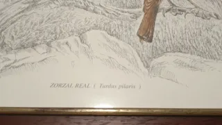 3 Quadri di uccelli in legno e carta