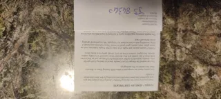 Bracciale Fossil nuovo maglie circolari