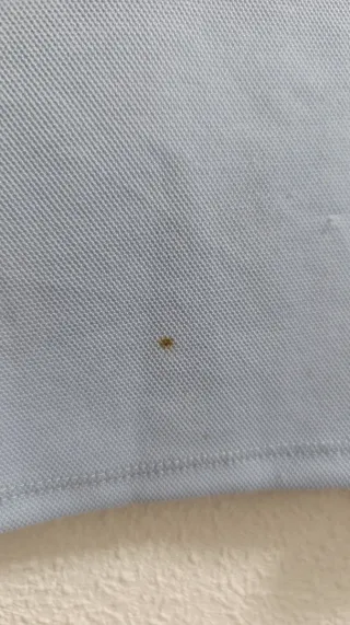 Falda Lotto Vintage Azul Talla M de Zara y2k style