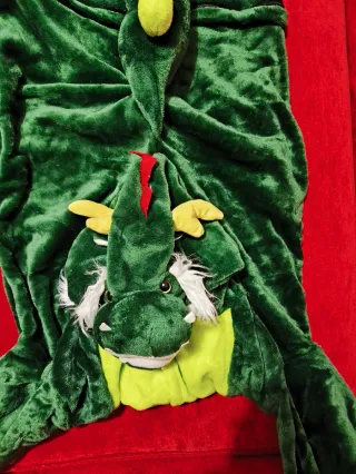 Disfraz/Pijama Dinosaurio Verde Talla Única