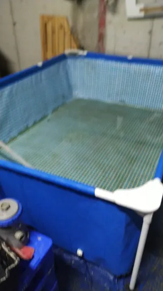 Piscina familiar azul y verde