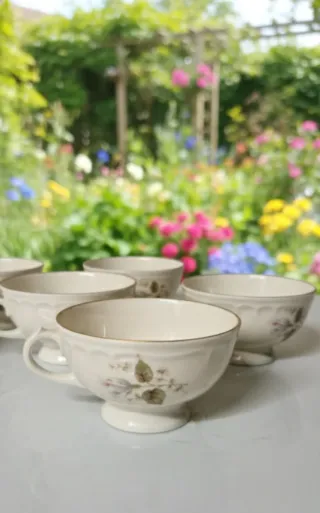 Tazzine Richard Ginori Porcellana