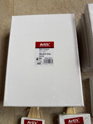 Lienzos Mini Artix (Varios Tamaños)