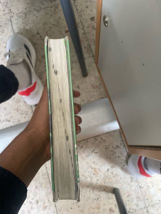 Diccionario Manual Griego. Griego clásico-Españ...