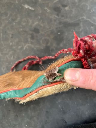 Borraccia Bota de Vino