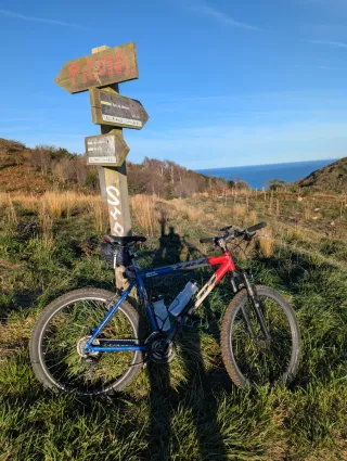 BH Sierra Nevada Team Bicicleta Montaña