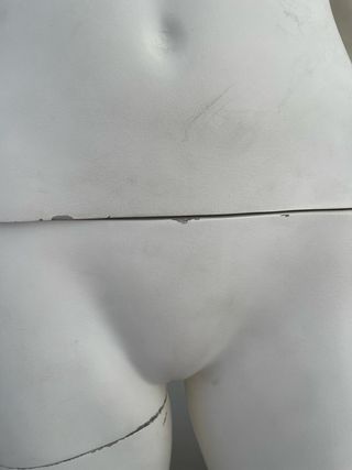 Maniquí Mujer Porcelana Entero Desmontable