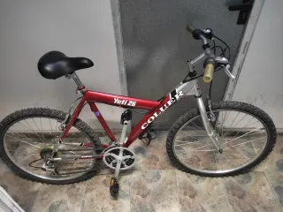 Bicicleta Colouer Yeti 26