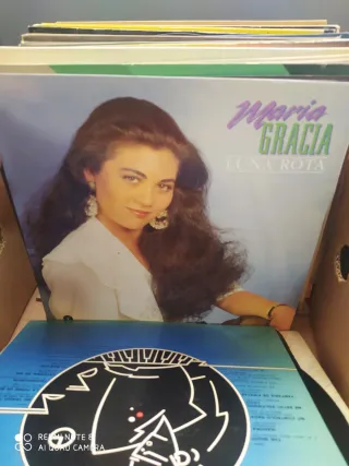 Vinilo Gordon Lightfoot Endless Wire