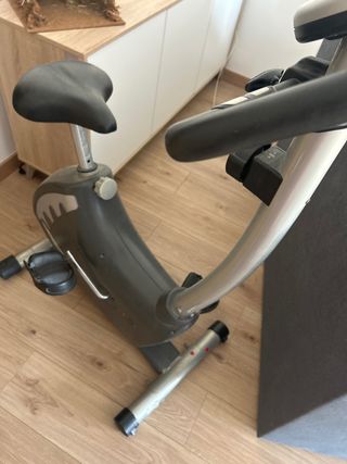 Bicicleta Estática Gris
