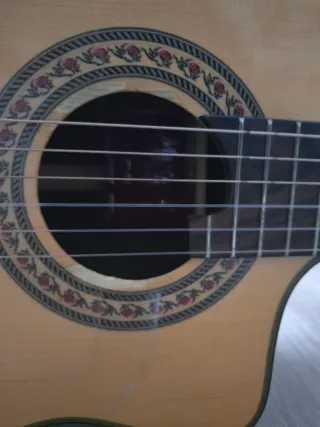 Guitarra Amplificada