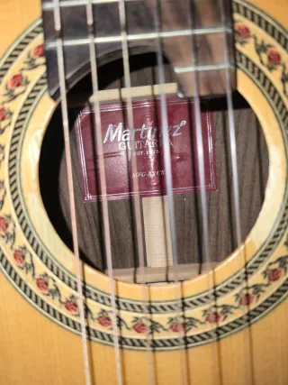 Guitarra Amplificada