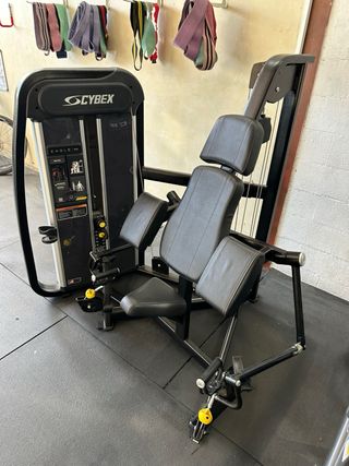 Cybex Arc Trainer y Curl Bíceps