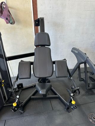 Cybex Arc Trainer y Curl Bíceps