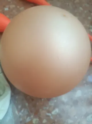 Lote Gimnasia Rítmica en Rosa