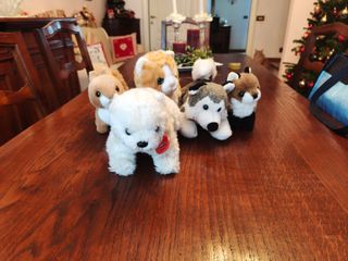 vari peluche Trudi husky, scoiattolo, gatto, orso