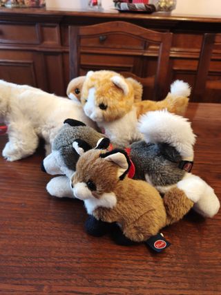 vari peluche Trudi husky, scoiattolo, gatto, orso