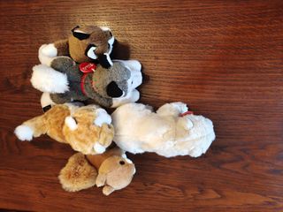 vari peluche Trudi husky, scoiattolo, gatto, orso