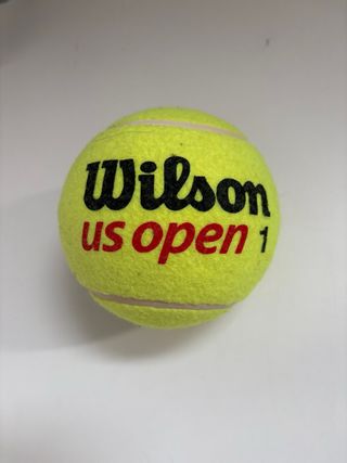 Pelota Tenis Wilson US Open Grande