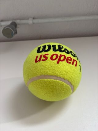 Pelota Tenis Wilson US Open Grande