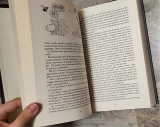 Il principe crudele e Il Re Malvagio