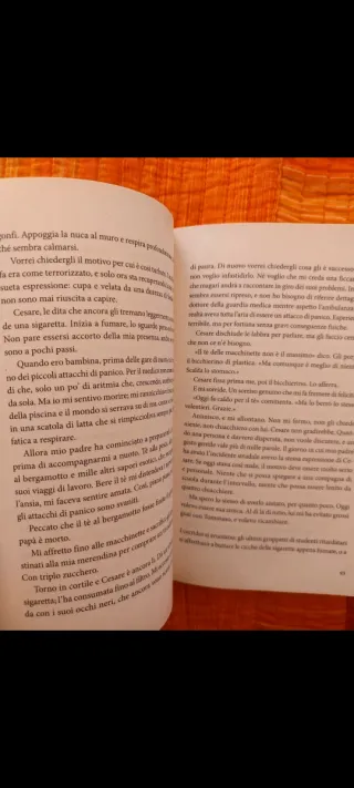 Il cattivo ragazzo che voglio