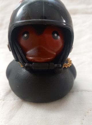 Paperella con casco e catenina