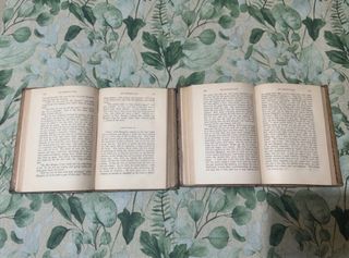 Libri antichi 1878 'The Primrose Path'