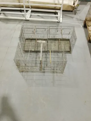 Gabbie per uccelli piccole da 25 e 35 euro