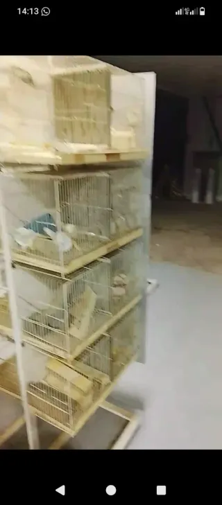 Torre con gabbie per uccelli, 8 gabbie