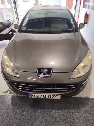 Peugeot 407 2010