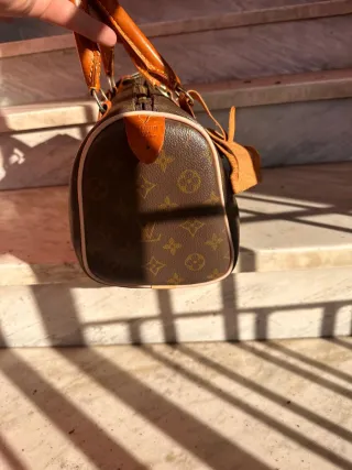 Borsa Louis Vuitton Speedy marrone